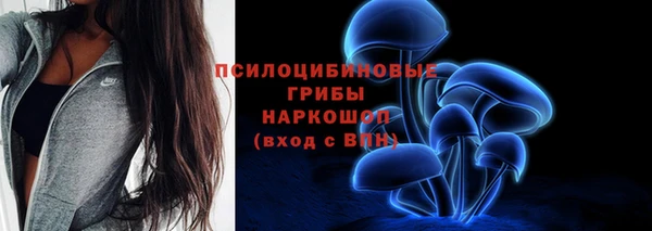 гашик Абдулино