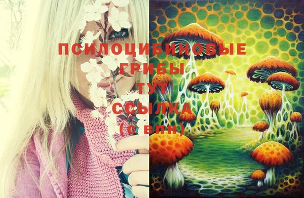 mix Абинск