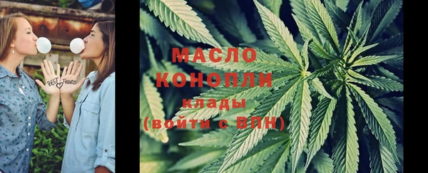дмт Абаза
