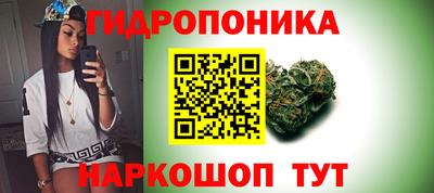 стаф Аргун