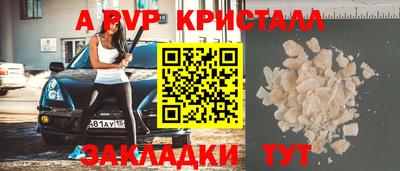 стаф Аргун