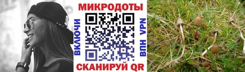 купить наркоту  Бугуруслан  Псилоцибиновые грибы мицелий 