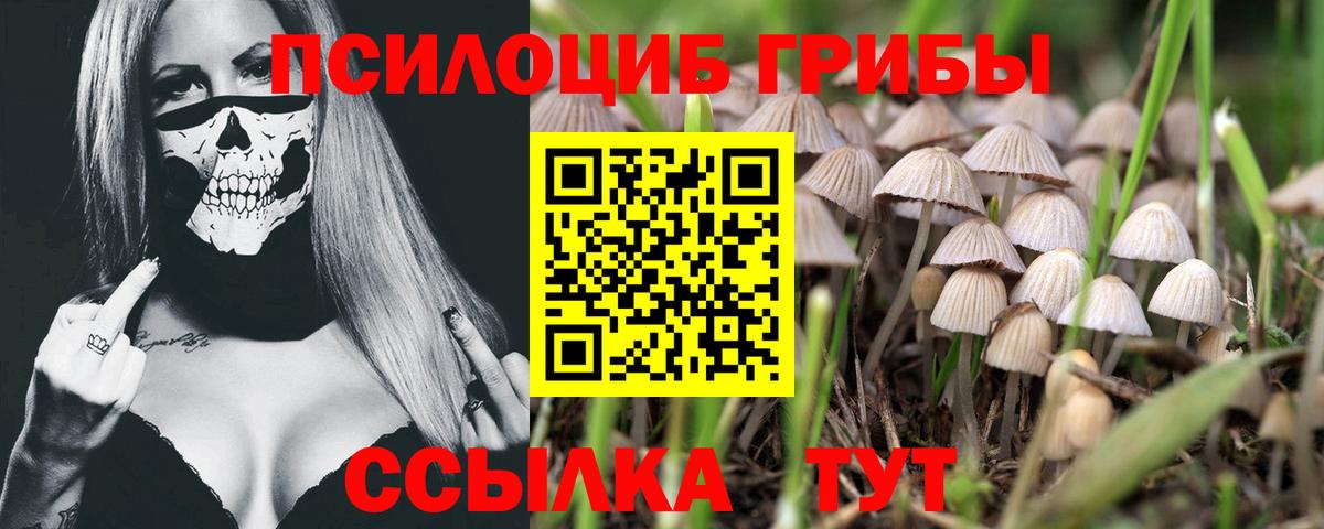 как найти   Вход с VPN  Бугуруслан  Псилоцибиновые грибы ЛСД 